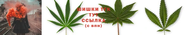 трава Алексин